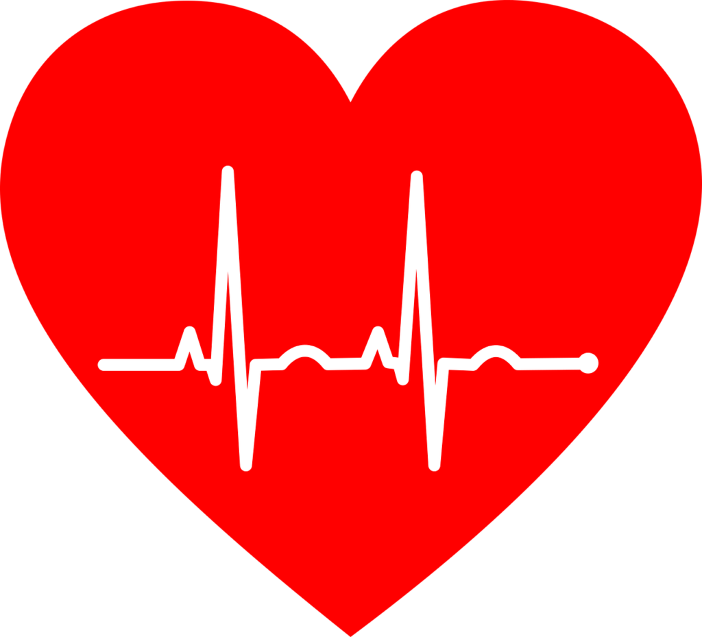 ekg, electrocardiogram, heart-2069872.jpg